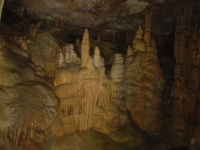 Lehman Cave